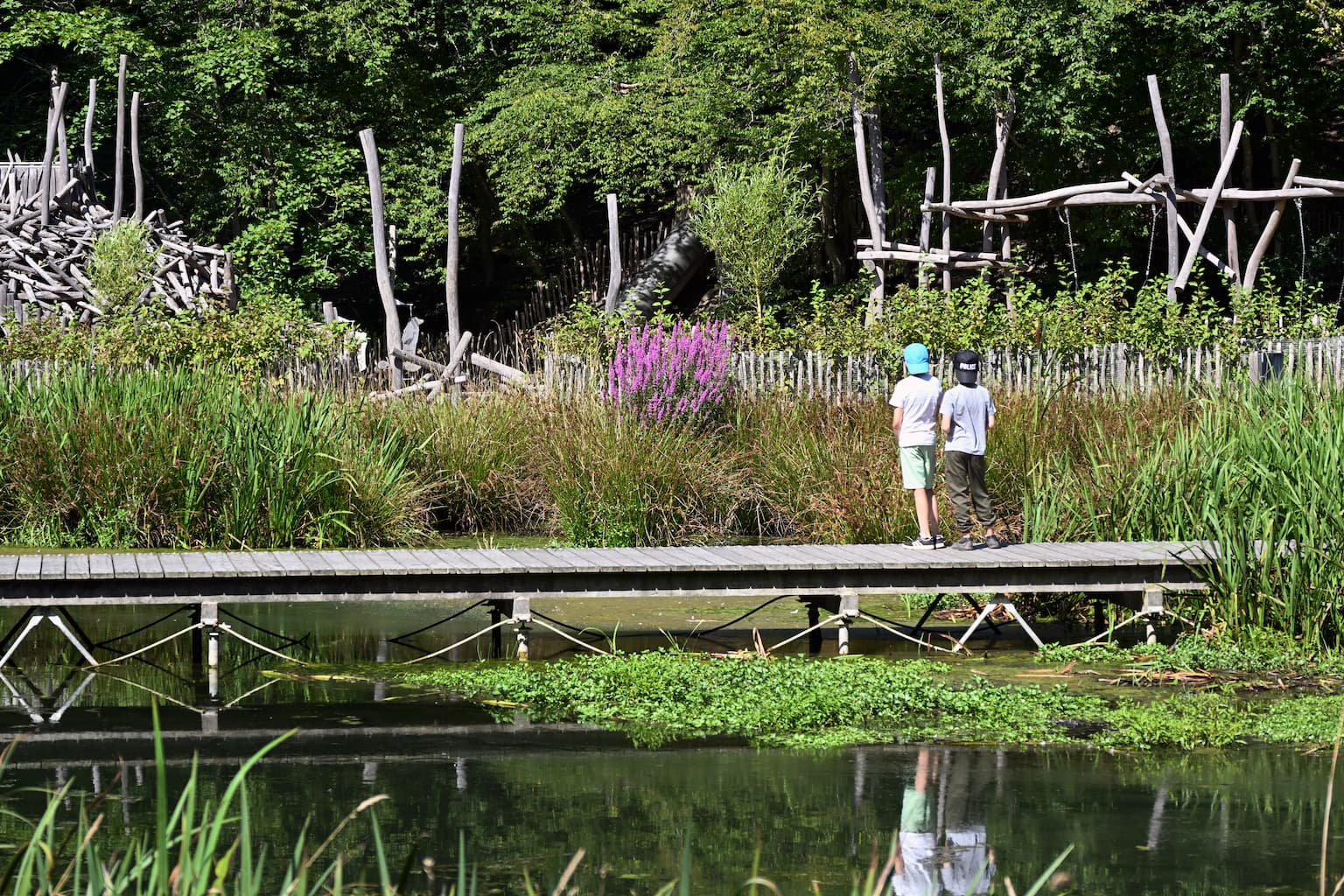 Domaine provincial de Chevetogne à Chevetogne - Wekty