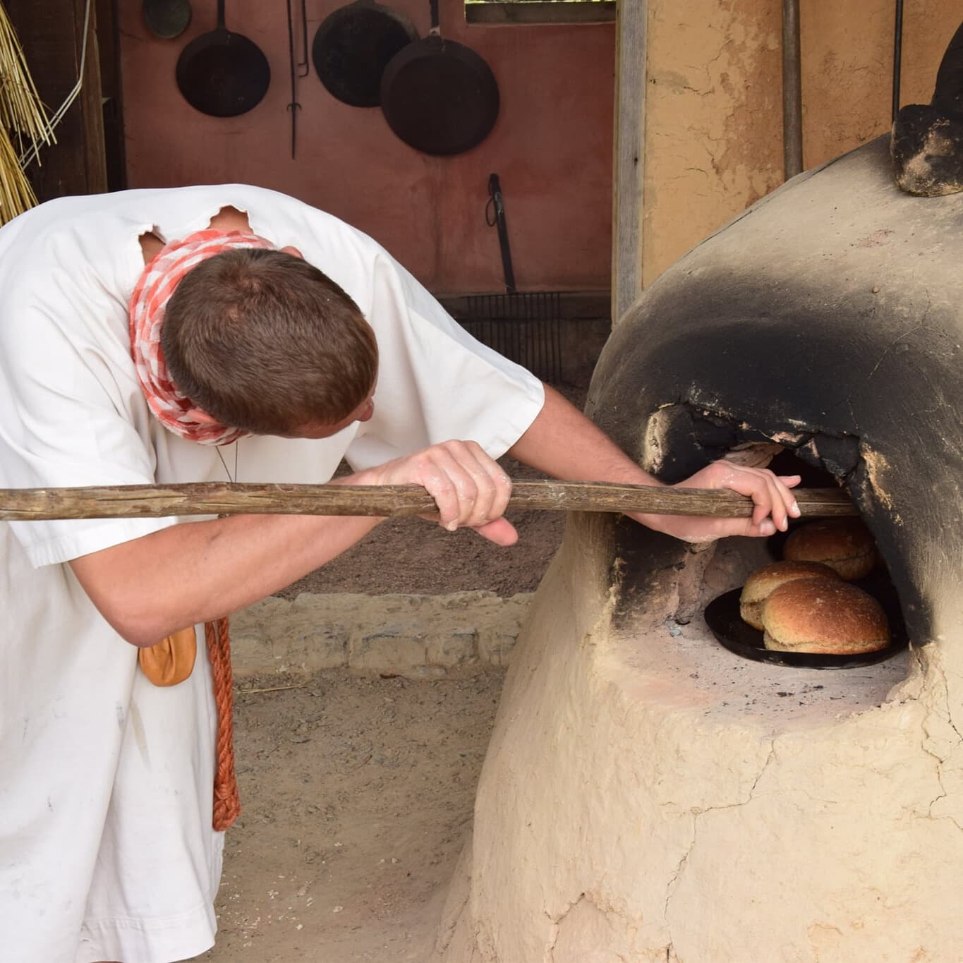 Malagne – Archéoparc de Rochefort à Rochefort - Wekty
