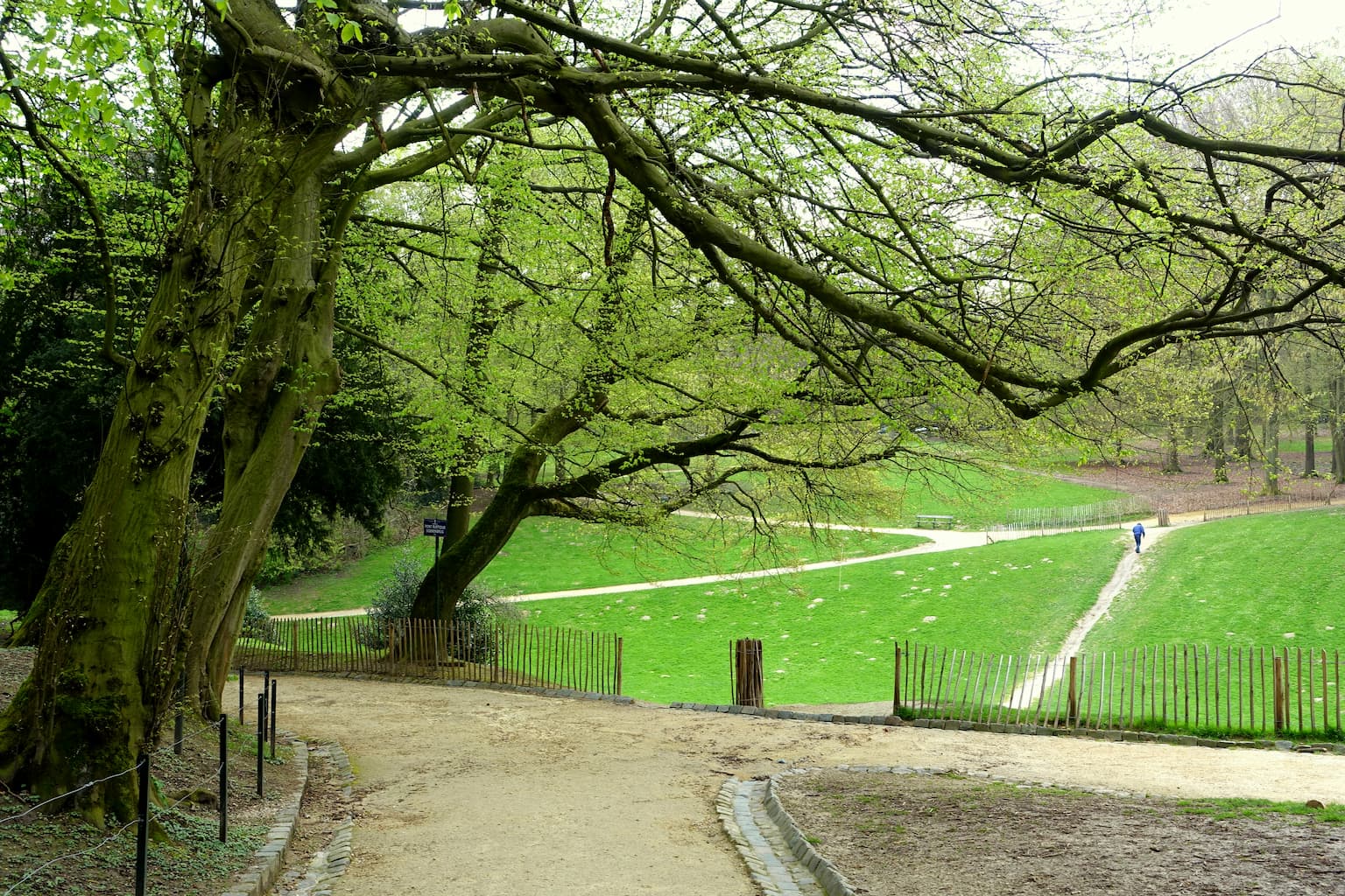 Bois de la Cambre à Bruxelles - Wekty