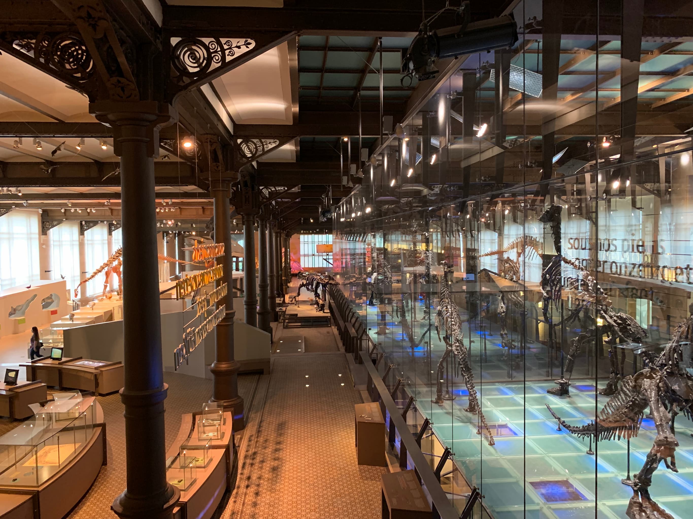 Institut royal des Sciences naturelles de Belgique à Bruxelles - Wekty