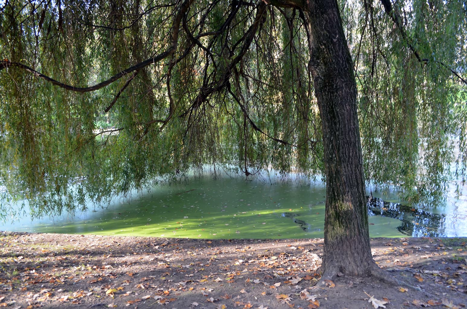 Parc Léopold à Etterbeek - Wekty