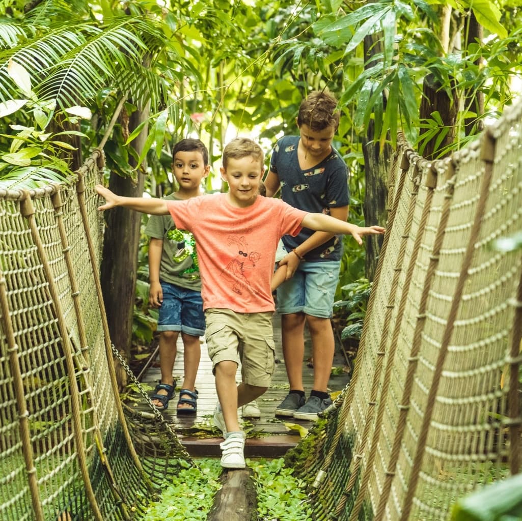 Jardin botanique de Meise à Meise - Wekty