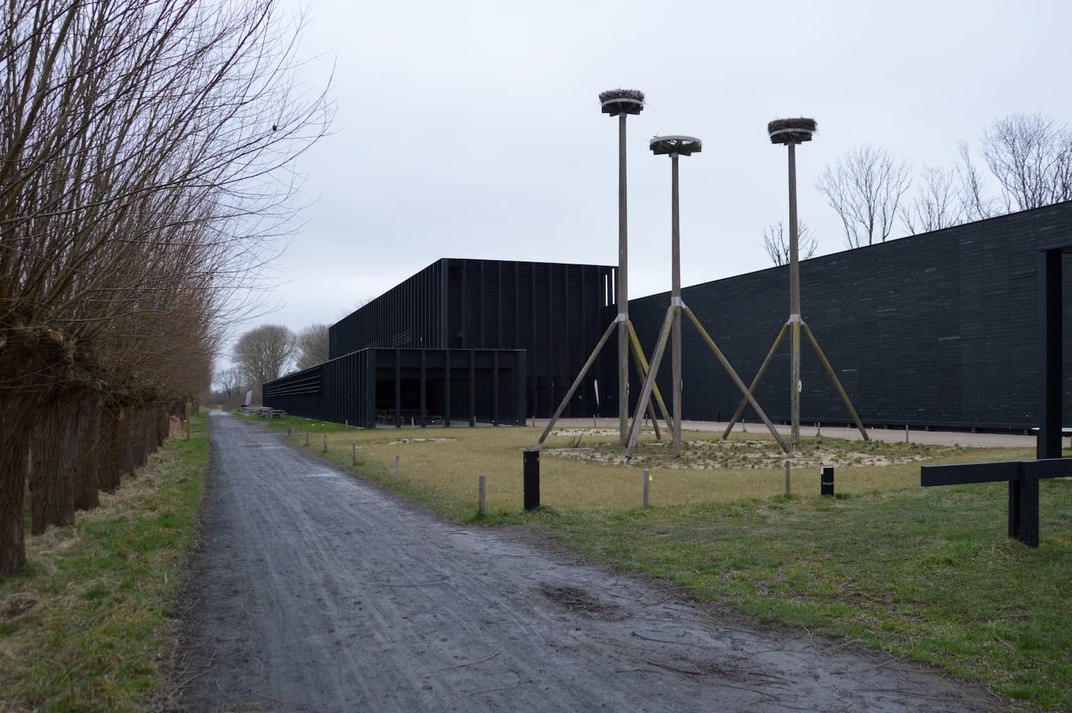 Parc naturel du Zwin à Knokke - Wekty