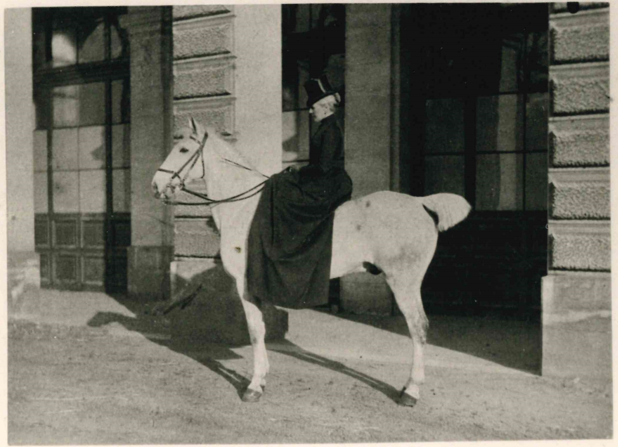 A la découverte de l'histoire fascinante du cheval à Spa