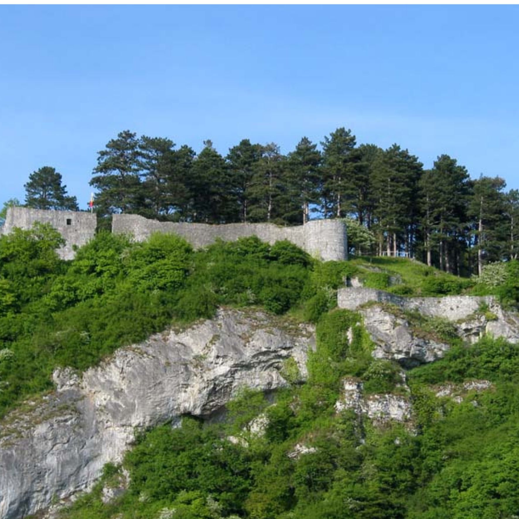 Visite du dimanche : Poilvache à Houx - Nature - Wekty