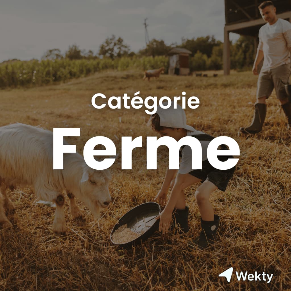 Ferme