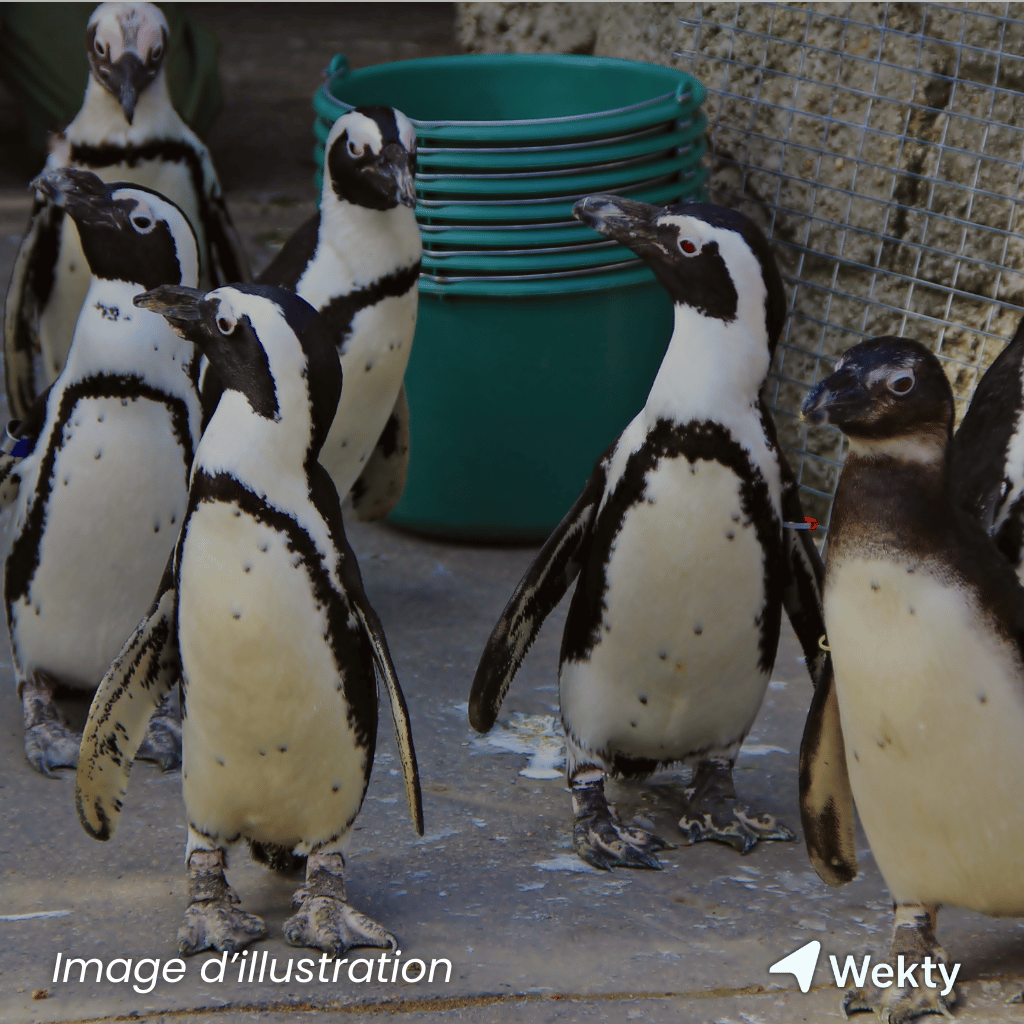 Sea Life à Blankenberge - Wekty