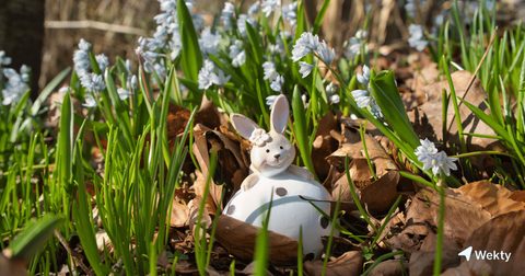 Vacances de Pâques et de printemps 2026 (Wallonie) : idées d'activités en Belgique